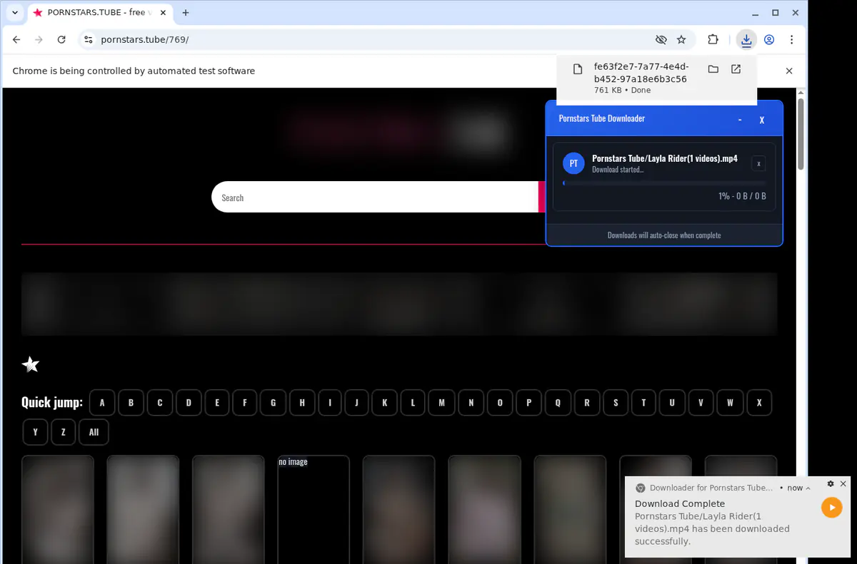 Pornstarstube Video Downloader browser extension screenshot 2