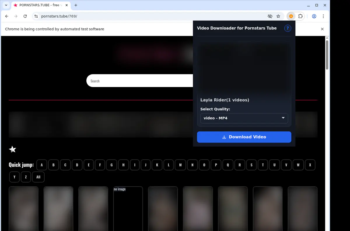 Pornstarstube Video Downloader browser extension screenshot 3